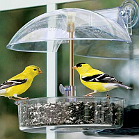 Window Bird Feeders